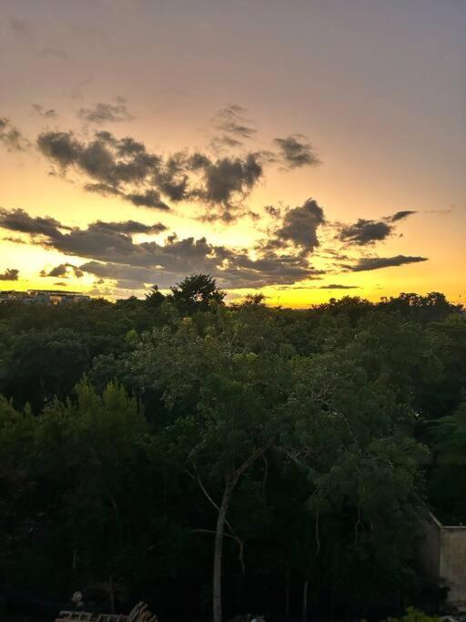 New Luxury Ph With Private Terrace & Plunge Pool * Tulum